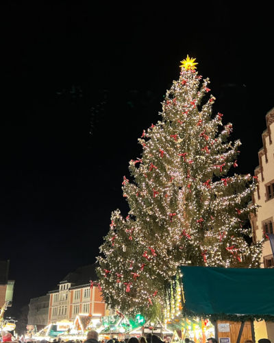 Weihnachtsbaum